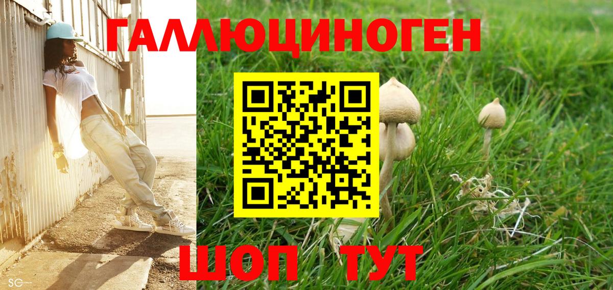 Галлюциногенные грибы мицелий Тихорецк