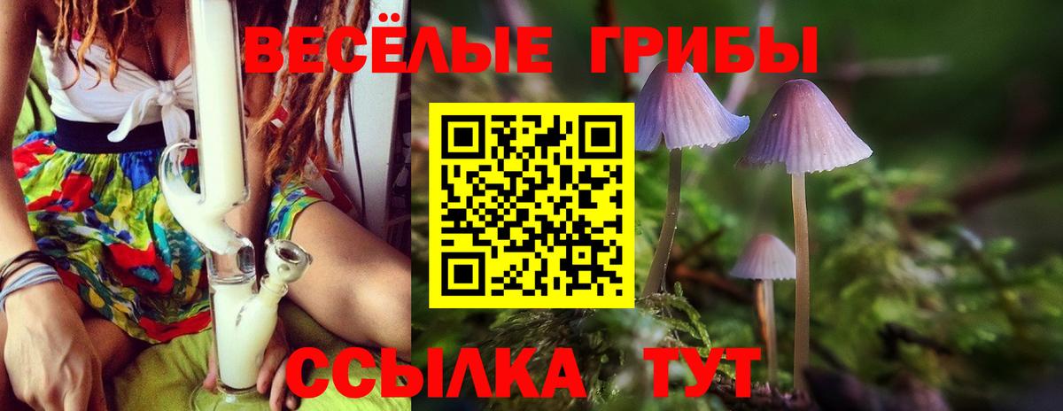 Псилоцибиновые грибы ЛСД  Галлюциногенные грибы Psilocybe  купить наркоту  Тихорецк  Вход с VPN 
